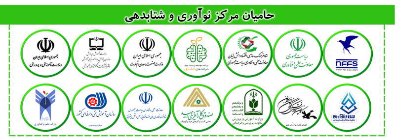 هدر حامیان